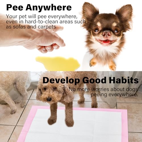Basics Dog and Puppy Pee Pads with 4layer Leakproof and Quickdry Design for Potty Training 13 X 17 Ultra Absorbent Disposable Changing Pads for Small Pets pink50 Count  Cucciolini Doodles Basics dog and puppy pee pads with 4 layer leak proof and quick dry design for potty training 13 x 17 ultra absorbent disposable changing pads for small pets  pink50 count   cucciolini doodles