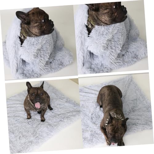 Couverture polaire douce pour animaux tapis peluche isolant du sol