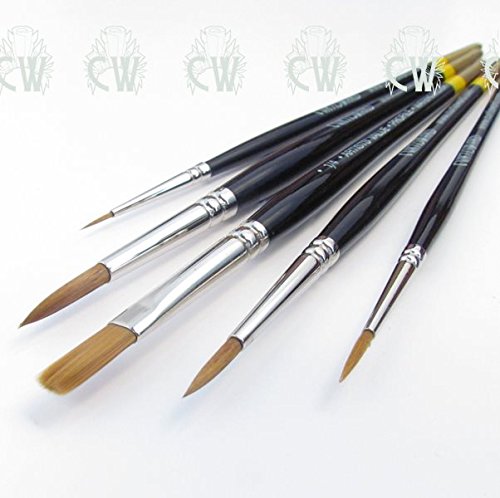 Perfil Curtisward artistas 5 Juego de brochas. Brochas para acuarela, gouache, acrílico, tintas