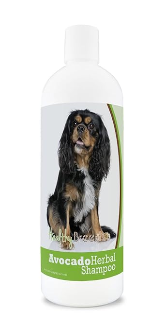 Healthy Breeds Herbal Avocado Dog Shampoo for Dry Itchy Skin for Cavalier King Charles Spaniel - Over 100 Breeds - Flea and Tick Product Safe - For Dogs with Allergies or Sensitive Skin - 16 oz