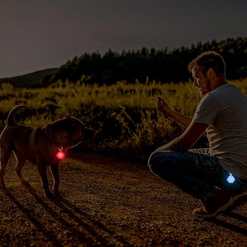 Novkin 2 x Hundelicht mit wiederaufladbarem USB-Halsbandlicht, IP67, wasserdicht, LED-Hunde-Sicherheitslichter für nächtliche Spaziergänge(Regenbogen und Regenbogen)