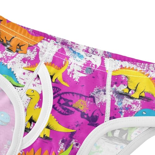 Wusikd Colorful Dinos Boys' Underwear Cotton Cute Boys Briefs Soft Toddler Underwear 2T4