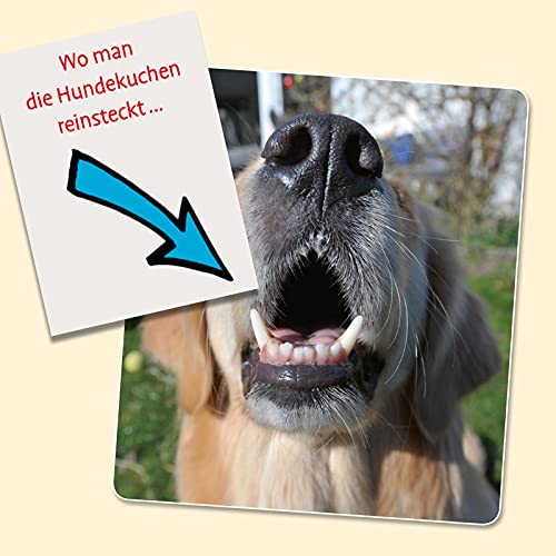 Uli Stein für Tierfreunde: Viel Spaß mit Hunden: Lustiges Geschenkbuch mit satirischen Cartoons für Hundebesitzer und Tierliebhaber