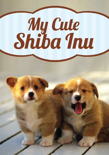 shiba kids