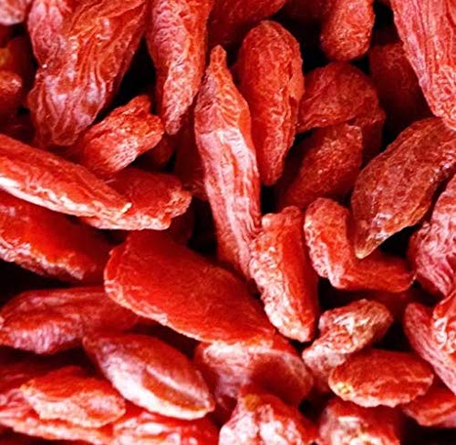 Portal Cool Goji (Baya commestibili) Lycyum 100 Semi