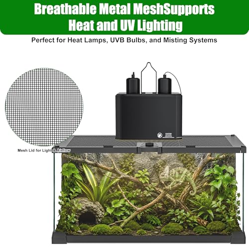 Image of 12 inch x 8 inch x 6 inch Small Glass Reptile Terrarium Tank | Top-Opening Mesh Lid with Latch, Fully Assembled Enclosure for Tarantulas, Frog, Isopods and Small Reptiles