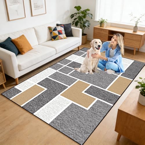 Alfombra de pasillo de pelo corto lavable moderna y transitable 7
