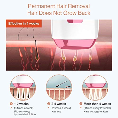 image for AMZGIRL Electric Shaver for Women，Hair Removal, Purple