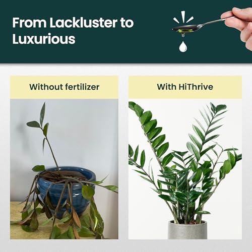 Fertilizante Líquido para Planta ZZ 16 oz miniatura 3