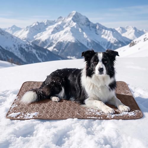 Generisch Kühlmatte für Hunde 2026 Neu Selbst Kühlende Hundematte Sommer Waschbar Kühlkissen Selbstkühlende Hundematte Kühldecke Katzen für Hund Katze für Sommer (Braun XS)