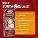 Surya Brasil - Henna Cream, Semi-Permanent Golden Brown Hair Color Treatment for Gray Coverage, Deep Conditioning Hair Dye, 2.37 oz / 70 ml