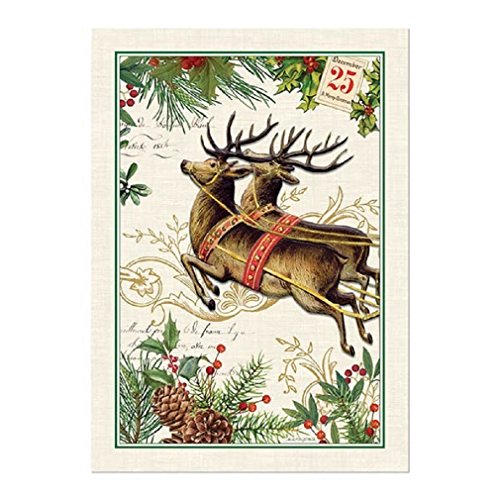 Michel Design Works Cotton Kitchen Dish Towel, Christmas Joy
