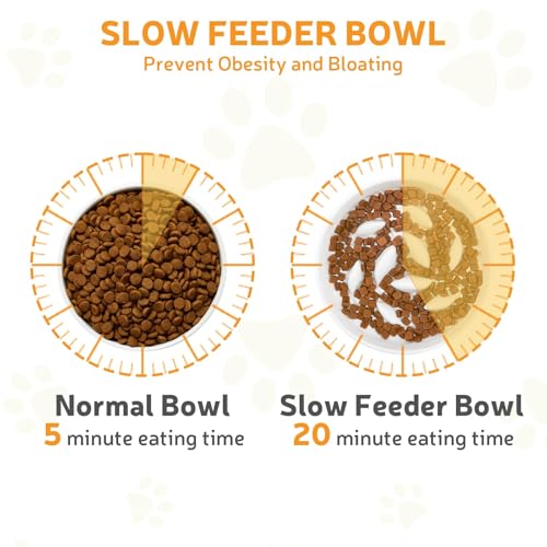 GUWINA Keramik Anti Schling Napf Katze, 16 cm Breite Antischlingnapf Katze für Trockenfutter und Nassfutter, Flache Slow Feeder für Katzen und Kleine Hunde, Spülmaschinenfest (Weiß)