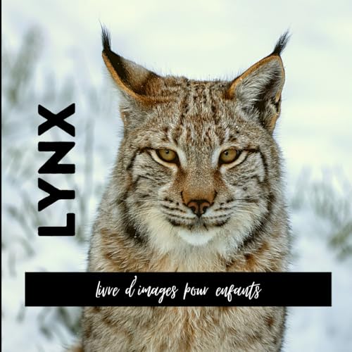 Preisvergleich Produktbild Lynx: Livre d'images pour enfants