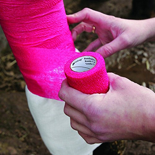 Cohesive Bandage - 2 Rolls x 10cm x 4.5m First Aid Pet Vet Wrap Bandages (sky blue)