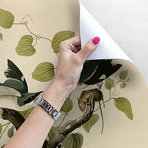 Papier peint oiseaux sur une branche pour relooker un meuble - 4