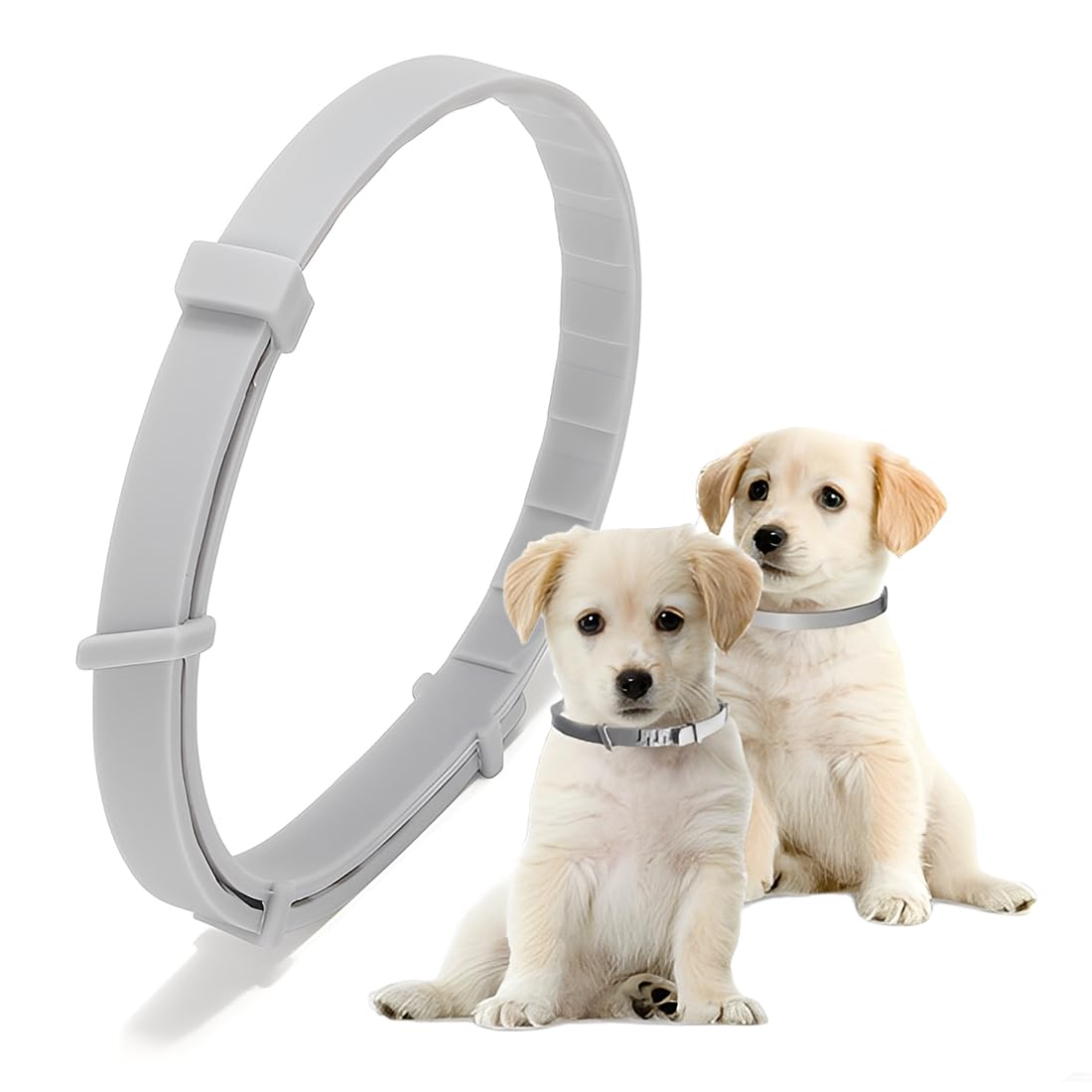 Collar Antigarrapatas Perro 2 Piezas Gris + Luminoso Nocturno – Collar Antipulgas Perro Ajustable 69cm Resistente al Agua Protección Contra Garrapatas Pulgas Larvas 8 Meses
