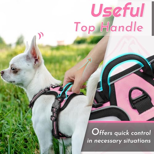 Image of Eagloo Dog Harness for Small Dogs, No Pull Pet Vest with 2 Leash Clips
