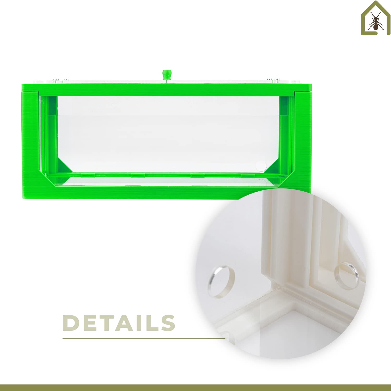 AntHouse.es - Hormiguero de Arena | Kit 3D Inicio Big 30x15x10 cm | Granja de Hormigas Verde | Colonia de Hormigas Incluida - 4