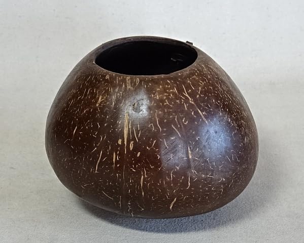 Amazon.co.jp: 時代椰子の実掛花入掛花入花器椰子ヤシ茶道煎茶華道骨董