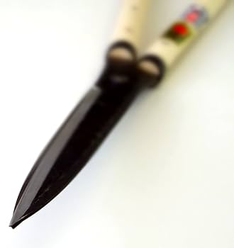 51UwzjvylcL._AC_UF350, 51UwzjvylcL._AC_UF350,