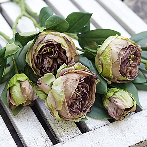 Image of FiveSeasonStuff Vintage Walnut Brown Peonies - Realistic Artificial Silk Flowers with Dry-Look Petals, 6 Stems for Rustic Home & Wedding Floral Arrangements