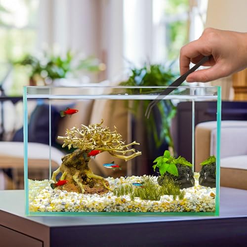 2 Stück Aquarium Pinzette Set, 25cm Gerade Pinzette und 25cm Gebogene Pinzette, Futterwerkzeug für Aquarium, Küchenpinzette Edelstahl für Wasserpflanze Pflanzenpinzette Reptilien Futterzange
