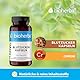 Blutzucker Kapseln 100 stk – Mit Chrom zur Aufrechterhaltung eines normalen Blutzuckerspiegels | Enthält Zimt, Quercetin, Alpha-Liponsäure & NAC | Von BIOHERBA