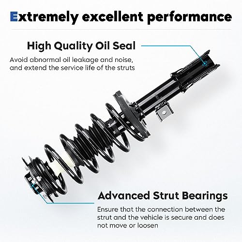 Front Complete Struts Assembly Shock Absorber w/Coil Spring Compatible with 2007-2017 Chevy Equinox 2010-2017 GMC Terrain 2007-2009 Pontiac Torrent 2008-2010 Saturn Vue 172526 172527