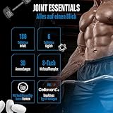 Joint Essentials – Hochdosiertes Gelenk-Supplement mit Collavant® N2 Typ-II-Kollagen – Glucosamin + Chondroitin + MSM + Hyaluronsäure + Vitamin C + Cissus + Weihrauch – 180 Tabletten