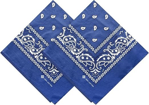 Image of SPIN CART Soft Breathable Cotton Paisley Bandana Handkerchief For Hair Head Bike For Men & Women
