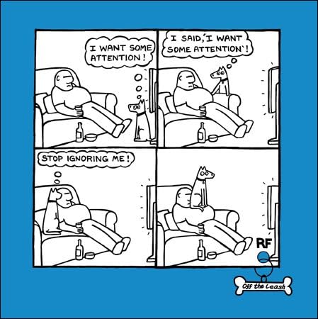 Humorous Greeting Card (CM5772) - Blank/Birthday - Stop Ignoring Me - Want Attention - Off the Leash Range