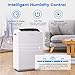 Inofia 70 Pint 4,500 Sq Ft Dehumidifiers for Basements Bathroom Garage Large Room, Portable Home Dehumidifier with Drain Hose/Laundry Mode/Caster Wheels/Water Reservoir