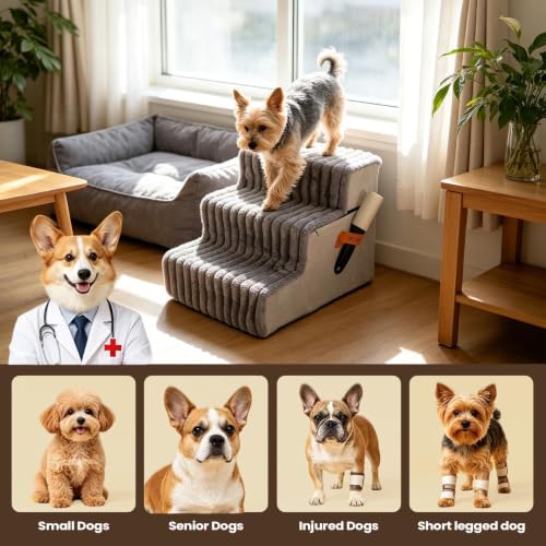 Rampa de Perro para sofá y escalera pequeña desmontable para mascotas 6