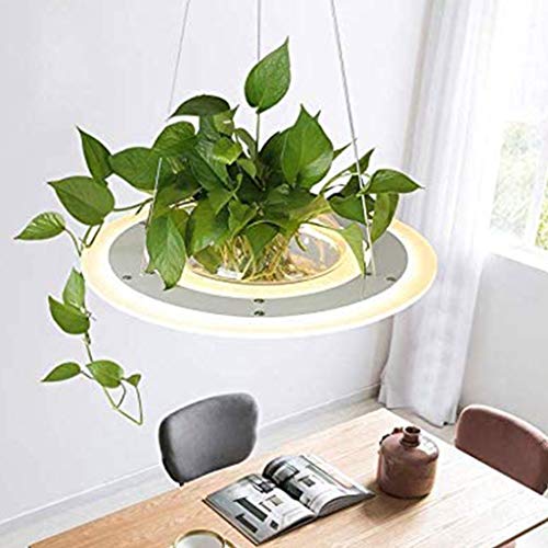 Preisvergleich Produktbild AUNEVN Modern Acryl Pendelleuchte Runden DIY Hängelampe Glas Lampenschirm Kreative Pflanze Hängeleuchte 100cm Höhenverstellbare Kronleuchter für Küche Pendellampe Esszimmer Korridor Büro Deckenlampe