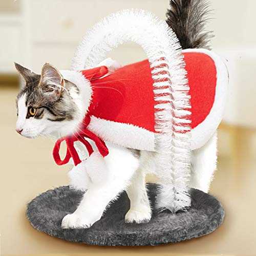best cat self groomer