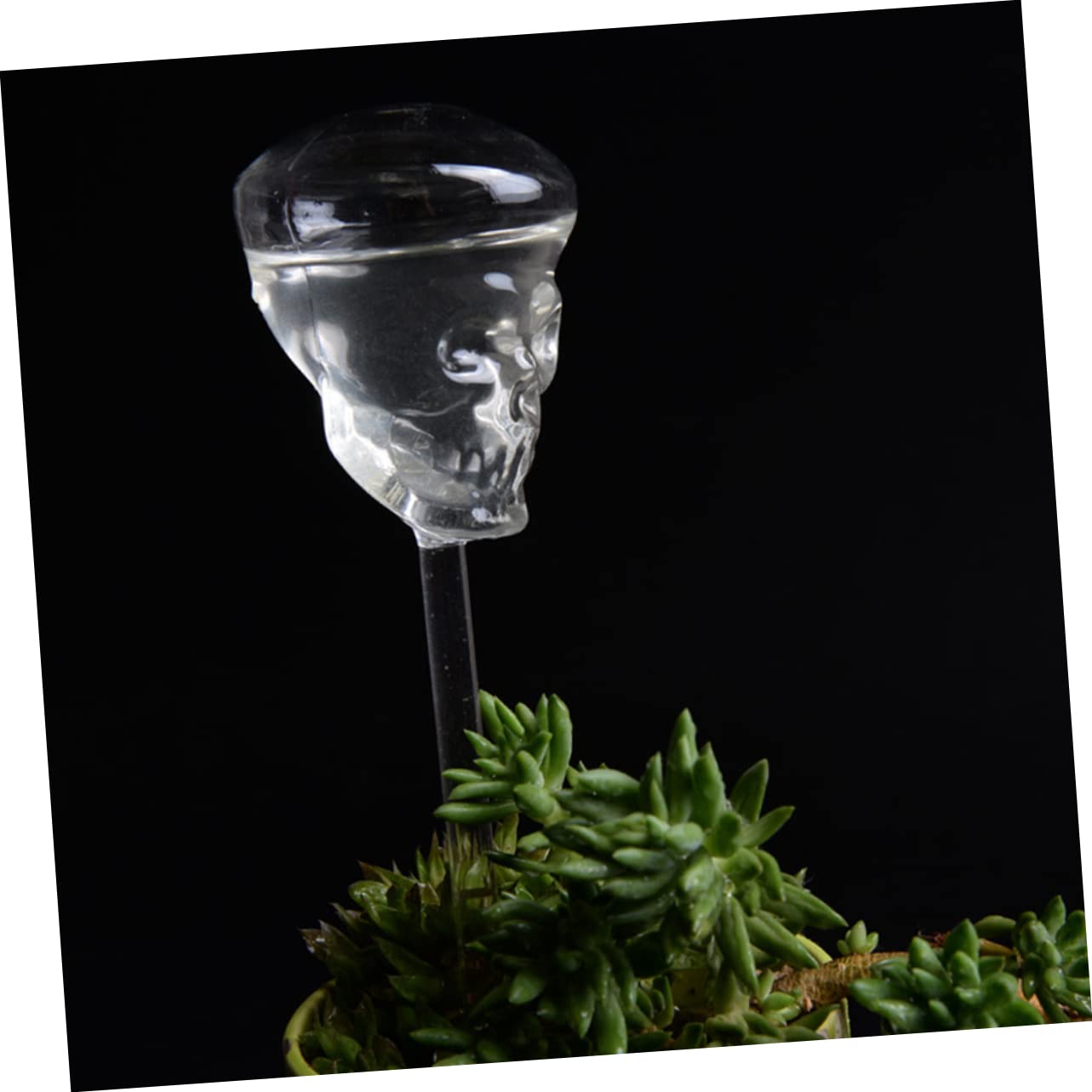 Toddmomy 3pezzi Dispositivo Irrigazione per Gocciolante Innovativo per Patio e Balcone Design