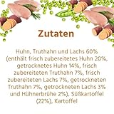 Wildfang® Hundefutter - Trocken - Getreidefreies Hundefutter - Premium Trockenfutter… (2 kg, Huhn mit Truthahn - Welpen)
