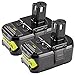 LabTEC RB18L50, 2 batterie al litio da 18 V, 5000 mAh, ricambio per Ryobi 18 V, BPL-1815, BPL-1820G, BPL1820, BPL18151, P102, P103, utensili elettrici senza fili con spia di controllo