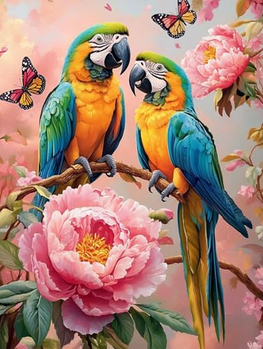 G IE yCgoCio[  io[yCg, DIY G fW^G Lbg SҌ ȒP Paint by Numbers uVƃANG̋ h DIYG ItBX CeA rO, ւ̃Mtg 30x