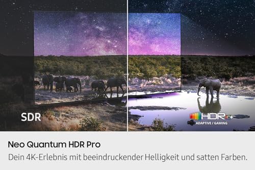 Samsung Neo QLED 4K 115 Zoll Fernseher