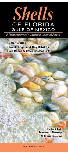 Shells of Florida-Gulf of Mexico: A Beachcomber's Guide to Coastal Areas: Written by Jeanne L. Murphy and Brian W. Lane, 2012 Edition, (Lam Chrt) Publisher: Quick Reference Publishing, Inc. [Pamphlet]