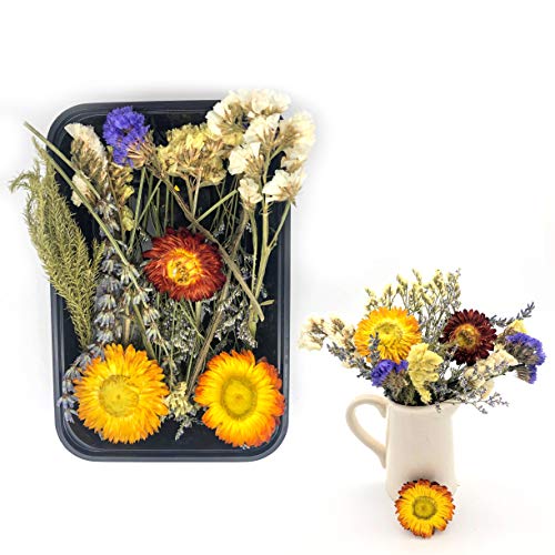 Kunstharz.Art Echte, natürliche getrocknete Blumen zum Basteln und als Blumenstrauß für Landhaus Deko Cover