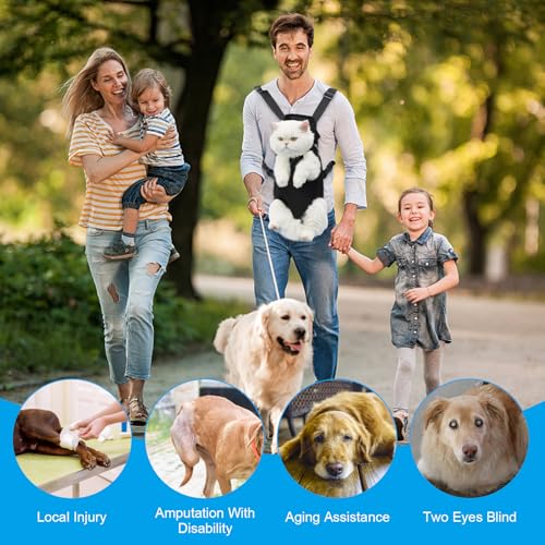 Haustier Rucksack Hunderucksack Verstellbarer Hunde-Tragerrucksack Schwarz Haustier Tragbar Reisetasche Faltbare Atmungsaktiv Katzentasche für Kleine Hunde Welpen Katzen Wandern Reisen Outdoor