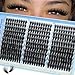 Manga Lash Clusters Volume Eyelash Clusters with Spikes 300Pcs Fluffy Cluster Eyelash Extensions 12-20MM Wispy Individual Lashes Clusters Easy to Apply DIY Lash Extensions at Home by JIMIRE