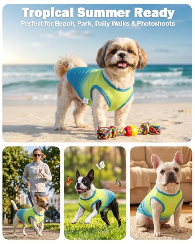 Image of CuteBone Ombre Dog Tank Top for Small Dogs, Cats - Tropical Summer Pet Vest - Breathable Ice Silk Cooling Shirt - Sun Protection, Photo, Casual Play, Walks
