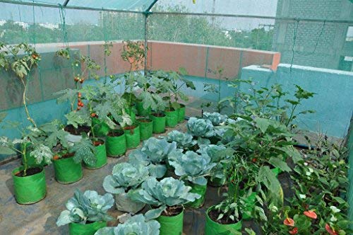 Image of Bio Blooms Round HDPE Plant Grow Bag for Terrace & Kitchen Gardening| Pack of 5| 12x12|200 GSM Heavy Duty Outdoor Grow Bag | Durable Planter for Vegetables, Flowers & Plants (Green & Orange)