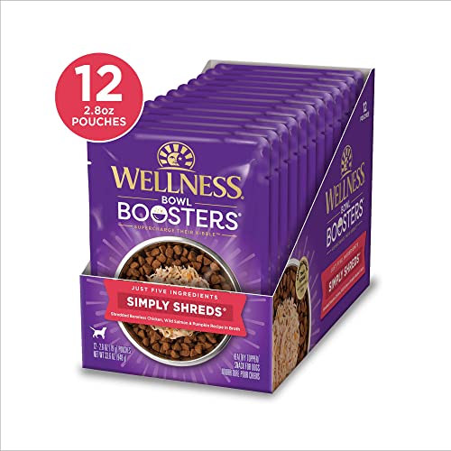 Wellness Core Simply Shreds Natural Grain Free Wet Dog Food Mixer Or Topper, Wild Salmon & Pumpkin , 2.8-Ounce Pouch (Pack Of 12) #TOP2