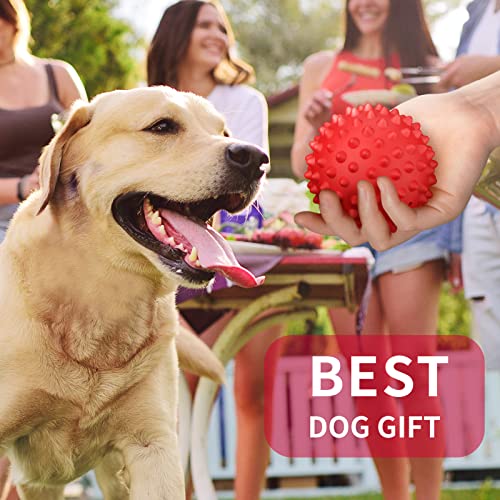 Apasiri 𝐔𝐩𝐠𝐫𝐚𝐝𝐞𝐝 𝐕𝐞𝐫𝐬𝐢𝐨𝐧 Dog Balls Squeaky Dog Toys For Large Dogs, Dog Toys For Aggressive Chewers, Tough Spiky Dog Ball, Durable Dog Ball, Floatable Rubber Pet Toys For Medium Breed #TOP6