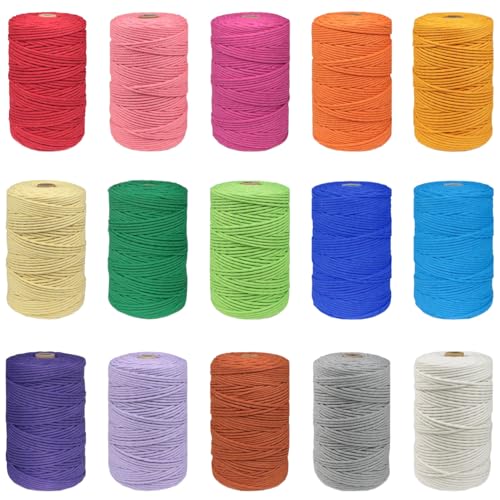 Rruize マクラメ糸 3mm コットンコード 15色セット 全長450m マクラメロープ マクラメ紐 手芸 ハンドメイド タペストリー スマホストラップ 編み糸 アクセサリー キーホルダー ひも 糸セット (30m×15巻)